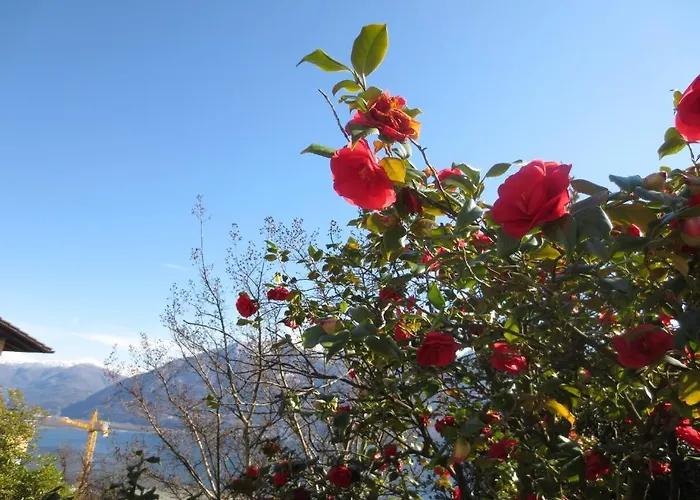 Casa Rabissale ロカルノ