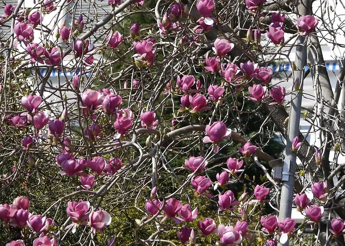 Casa Rabissale 로카르노